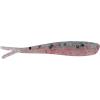 Rainbow Trout