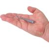 imageBerkley Berkley PowerBait Rib WormOyster Shell