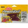 imageBerkley Berkley PowerBait Rib WormPurpleChartreuse