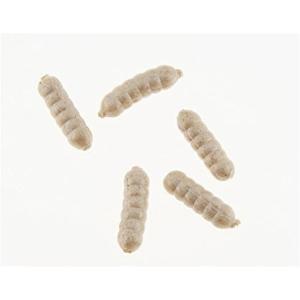 imageBerkley PowerBait Power Wigglers Fishing Soft BaitWhite