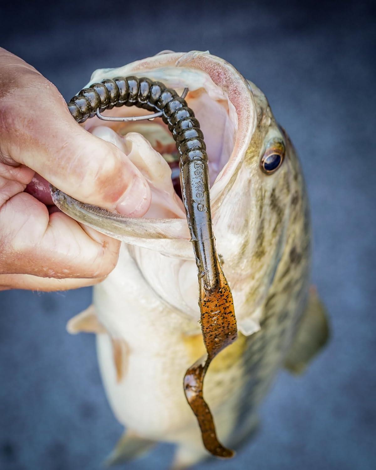 imageBerkley PowerBait Power Worms Fishing Soft BaitBlack