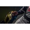 imageBerkley PowerBait Power Worms Fishing Soft BaitBlack