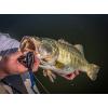 imageBerkley PowerBait Power Worms Fishing Soft BaitPumpkin Chartreuse