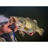 imageBerkley PowerBait Power Worms Fishing Soft BaitPumpkinseed