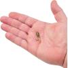imageBerkley PowerBait PreRigged Atomic Tubes Fishing Soft BaitGrasshopper