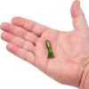 imageBerkley PowerBait PreRigged Atomic Tubes Fishing Soft BaitPerch