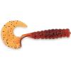 Pumpkinseed
