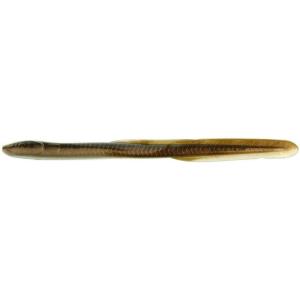 imageGulp Eel