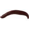 imageBerkley Gulp Pinched Crawler Fishing Soft BaitNightcrawler  Garlic Scent