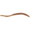 imageBerkley PowerBait Power Floating Trout Worm Fishing Soft BaitPink Shad  Original Scent