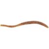 imageBerkley PowerBait Power Floating Trout Worm Fishing Soft BaitPumpkinseed  Original Scent