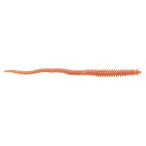 imageBerkley Gulp Sandworm Natural 6 Inch