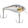 Sexier Shad