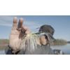 imageBerkley PBTDElectric Shad