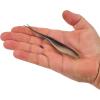 imageBerkley PowerBait Power Jerk Shad Fishing Soft BaitPro Blue