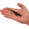 imageBerkley PowerBait Power Jerk Shad Fishing Soft BaitWatermelon Red