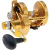 imagePenn Torque Gold Lever Drag ReelOne Size