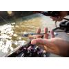 imageBerkley Fishing Hook Size 6 High Carbon Steel Stainless SteelHD Rainbow Trout