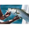 imageBerkley Gulp Pogy  GSPG3CH
