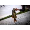 imageBerkley Powerbait Pro Twitchtail MinnowPerch Ice