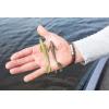 imageBerkley Water Bug  Soft Plastic Fishing Lure  Bass  1pcCoppertreuse