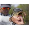 imageBerkley Water Bug  Soft Plastic Fishing Lure  Bass  1pcCoppertreuse