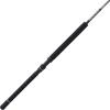 imagePENN Ally II Boat Conventional Fishing RodNew Model