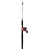 imageBerkley Big Game Baitcast Combo30 Size Reel  66  Medium  1pc