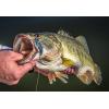 imageBerkley Warpig Fishing Hard BaitBlue Back