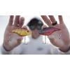 imageBerkley Warpig Fishing Hard BaitBlue Back