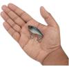 imageBerkley Warpig Fishing Hard BaitBlue Bullet