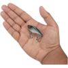 imageBerkley Warpig Fishing Hard BaitBlue Bullet