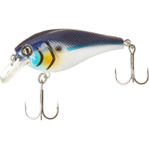 imageBerkley Berkley Pro Designed Bass Fishing Lure 1 PieceBlue Back