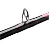 imagePenn Rampage Boat Casting Fishing Rod6  H  3080lb  1pc