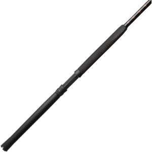 imagePenn Rampage Boat Casting Fishing Rod66  Mh  2050lb  1pc
