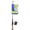 imageShakespeare Catch More Fish Spinning Reel and Fishing Rod Combo with KitPanfish